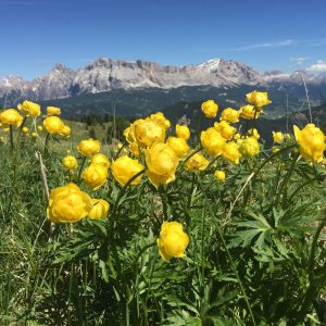 IMG_6168-copia-300x300